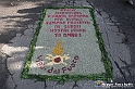 VBS_9522 - Infiorata di Villanova d'Asti 2023